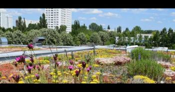 Umkehrdach: Nachhaltige Lösung für begrünte Flachdächer im urbanen (Foto: FPX e.V. Fachvereinigung Extruderschaumstoff)