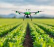 Precision Farming & Energieversorgung – Effizienz durch smarte Technologien (Foto: AdobeStock - (Foto: AdobeStock - 913576282 Pachara)